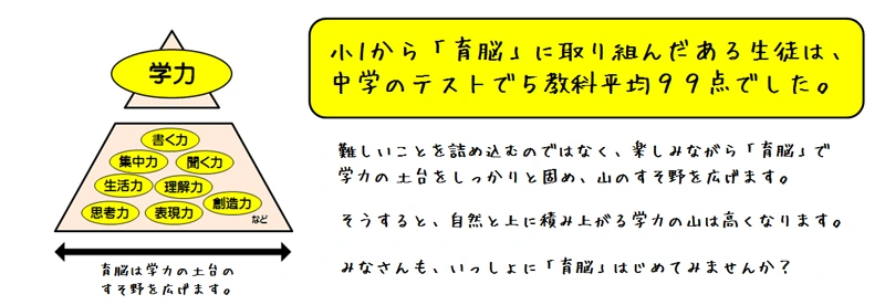 小1から育脳に取り組んだ生徒は中学テストで5教科平均99点（学力ピラミッド図）